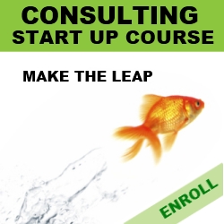 Consulting Start-up Course - Become a Consultant